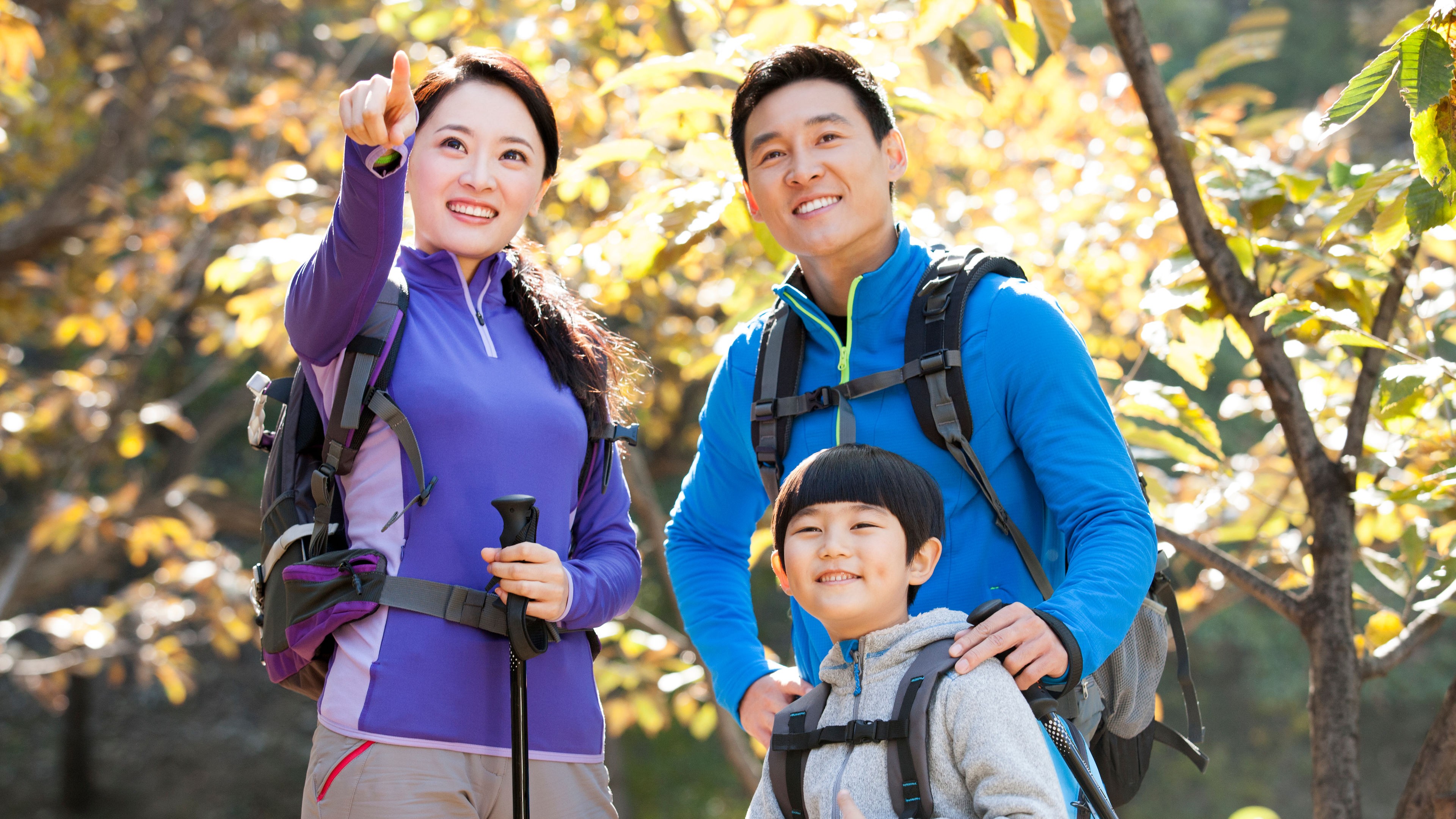 Picture of a family in sports  