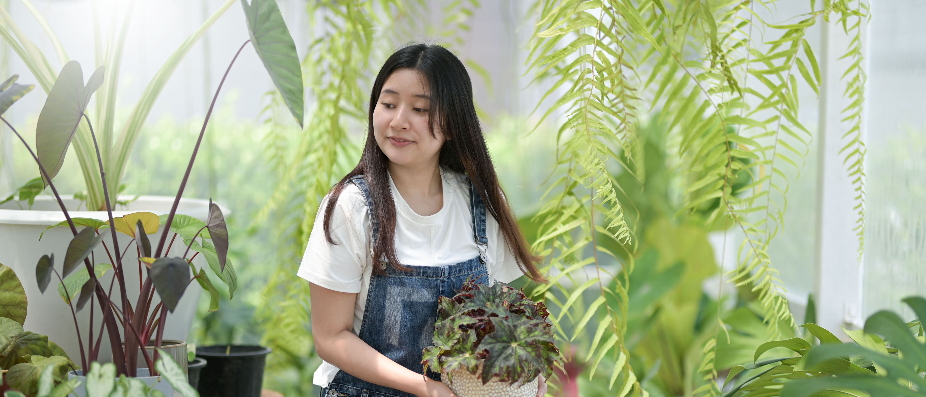 A woman is working in her garden